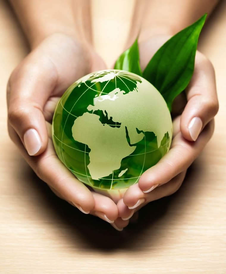 our-environmental-policy